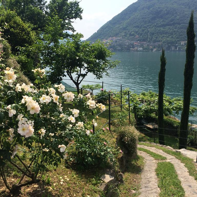 Casa Vacanza Castagna Villa Nesso Værelse billede