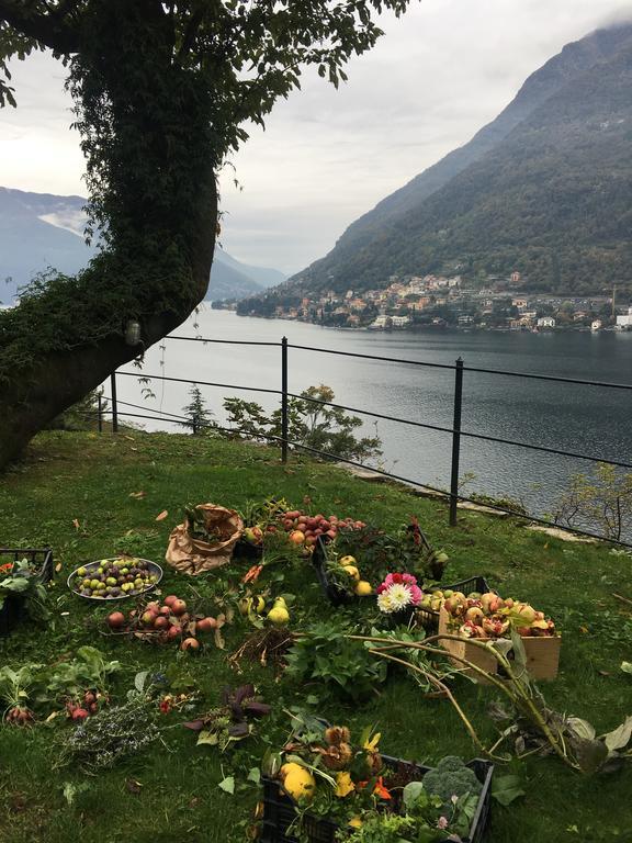 Casa Vacanza Castagna Villa Nesso Eksteriør billede