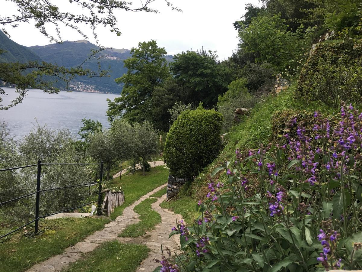 Casa Vacanza Castagna Villa Nesso Eksteriør billede